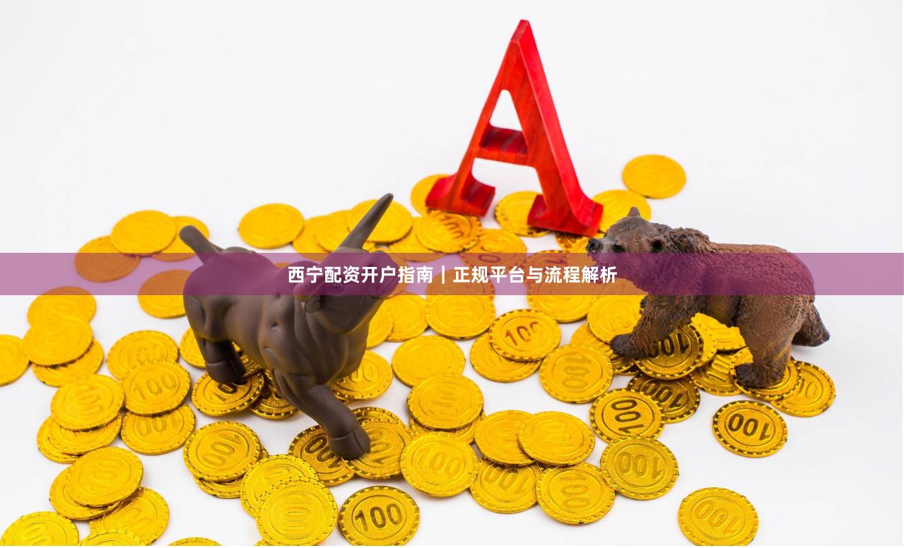 西宁配资开户指南|正规平台与流程解析